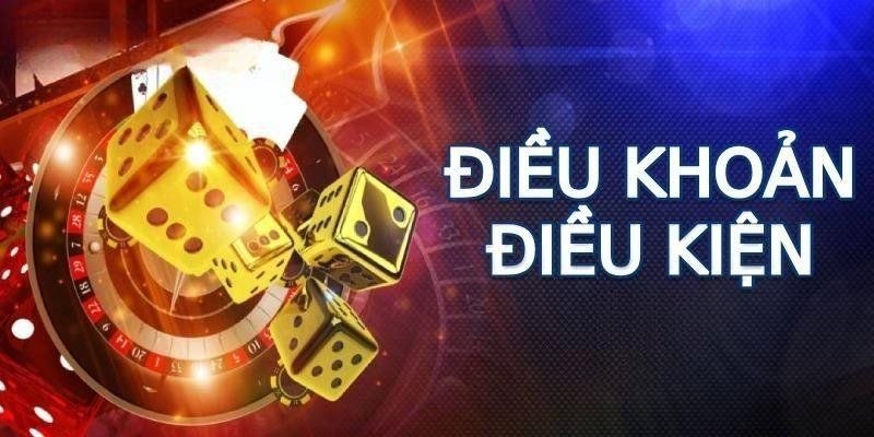 Điều khoản và điều kiện